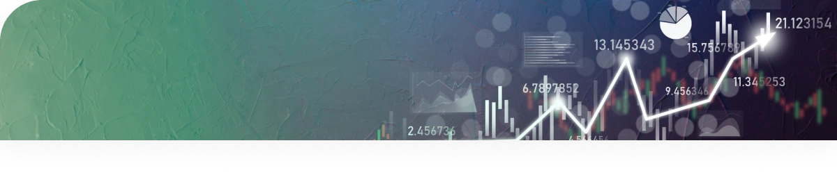 Alldigi - Details of BPO